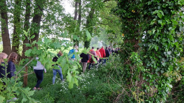 Dauwtrappen (donderdag 10 mei 2018)